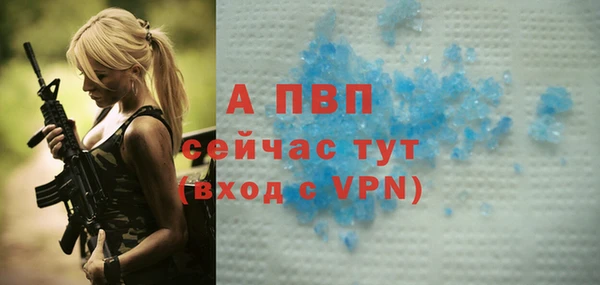 сатива Богданович