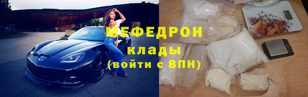 сатива Богданович