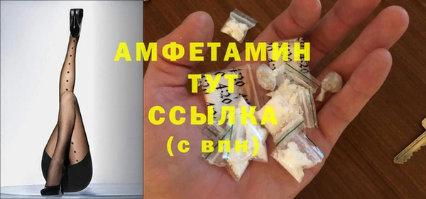 сатива Богданович