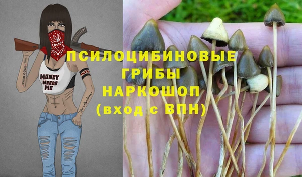 меф Богородск