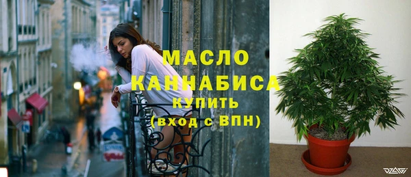 сатива Богданович