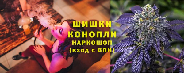 ALPHA PVP Богородицк