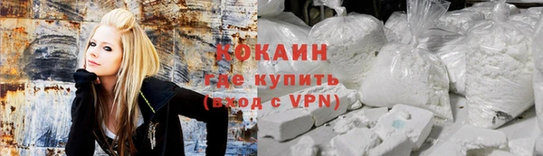 сатива Богданович